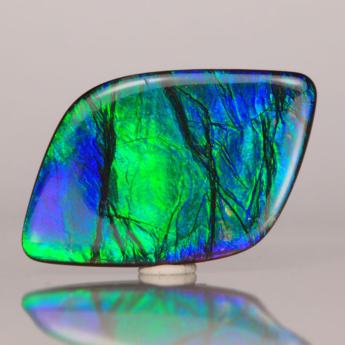 Freeform Cabochon Ammolite 24.25 Carats