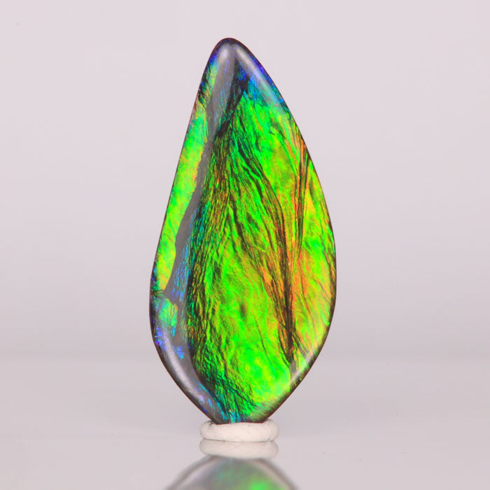 Popular Ammolite Freeform