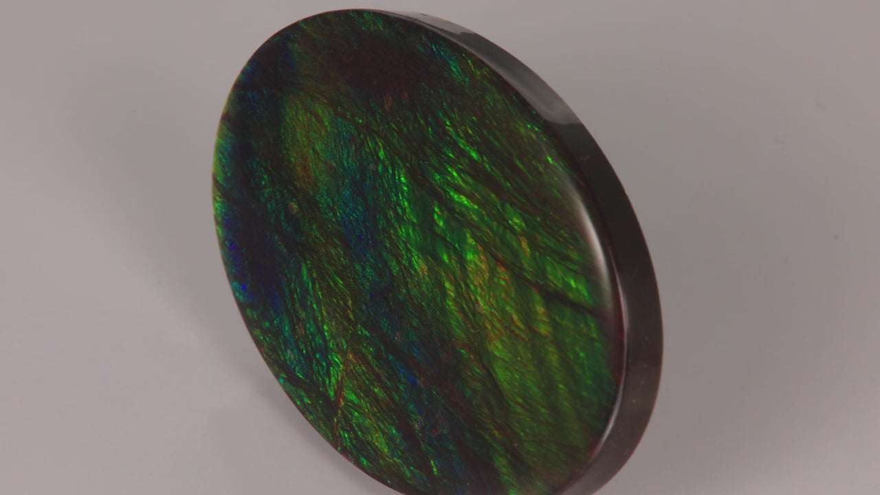 Oval Cabochon Ammolite 50.85 Carats