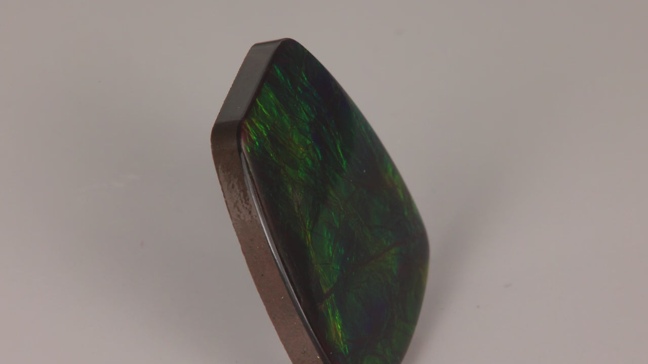 Shield Cabochon Cut Ammolite Fossil Gemstone 30.05 Carats