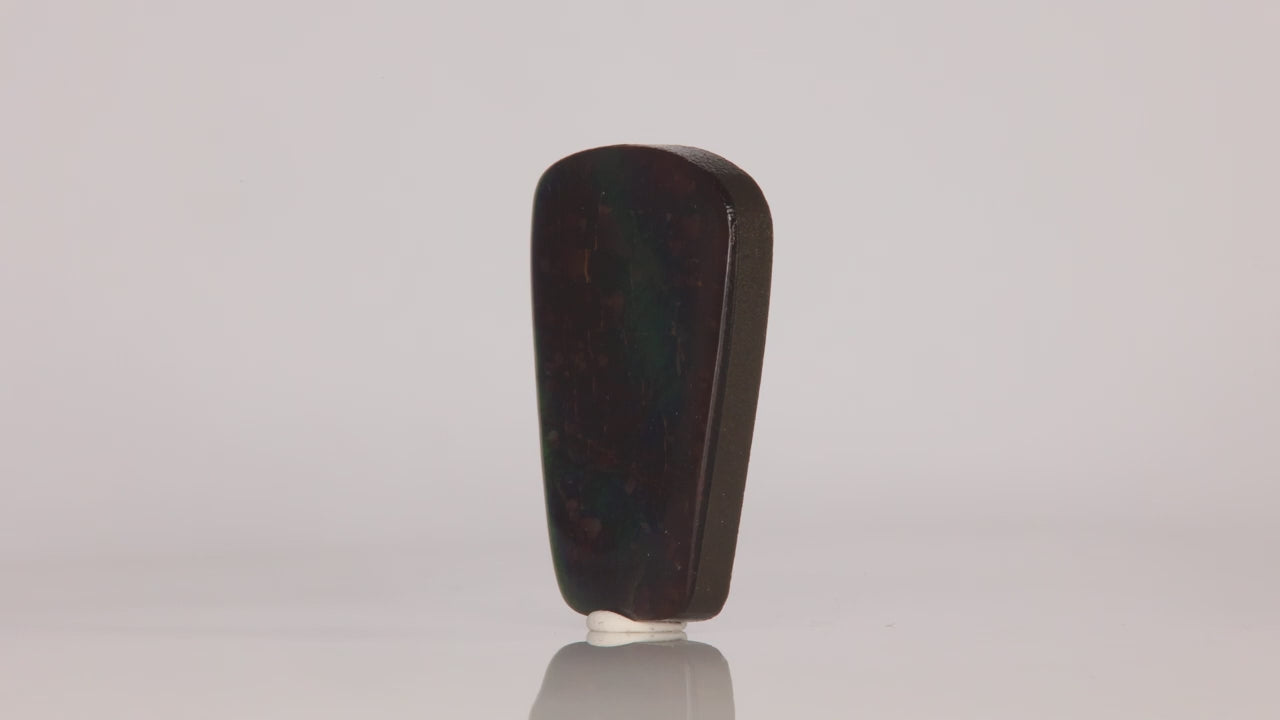 Freeform Cabochon Ammolite 26.20 Carats