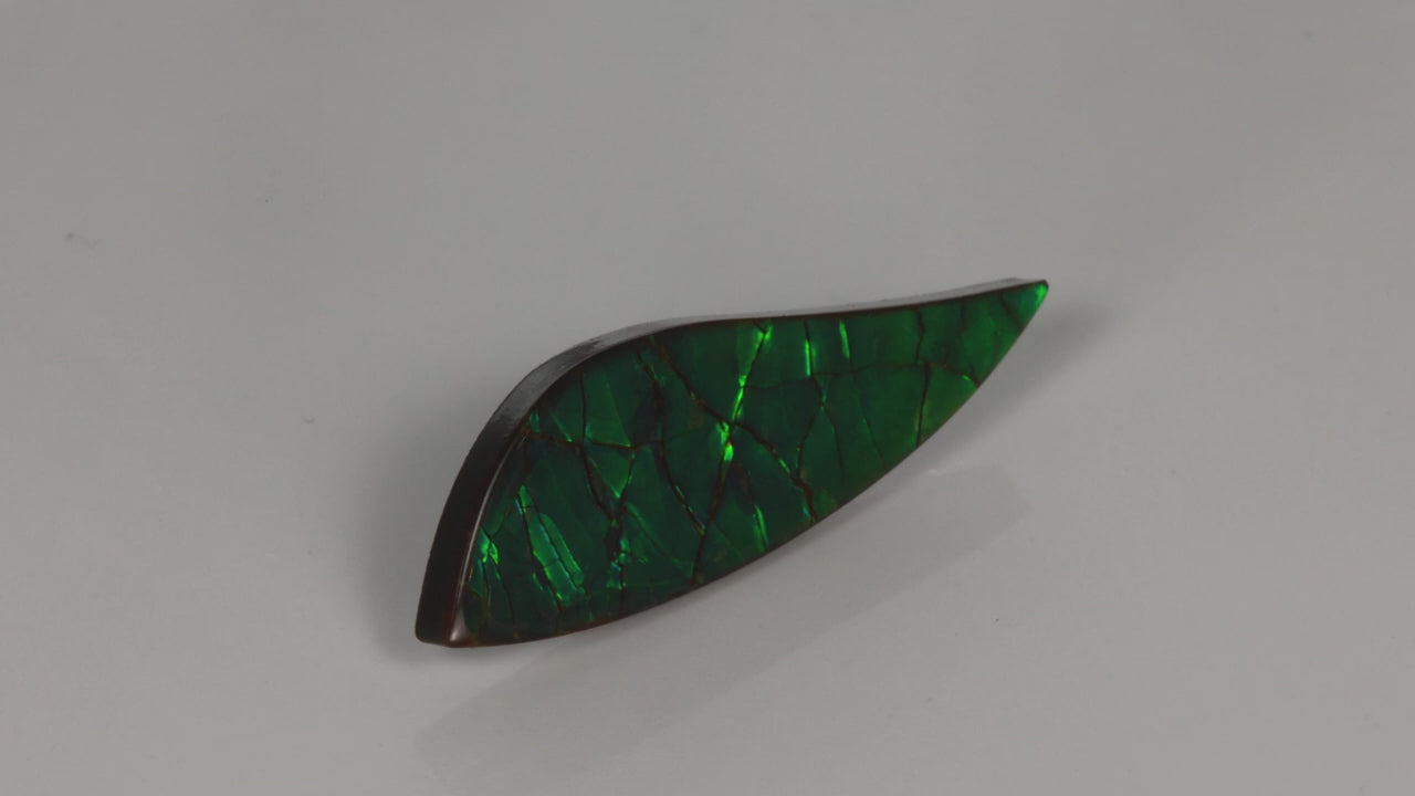 Freeform Cabochon Ammolite Fossil 19.20 Carats