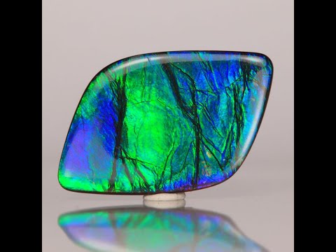 Ammolite newest Freeform