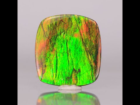 Ammolite newest Freeform