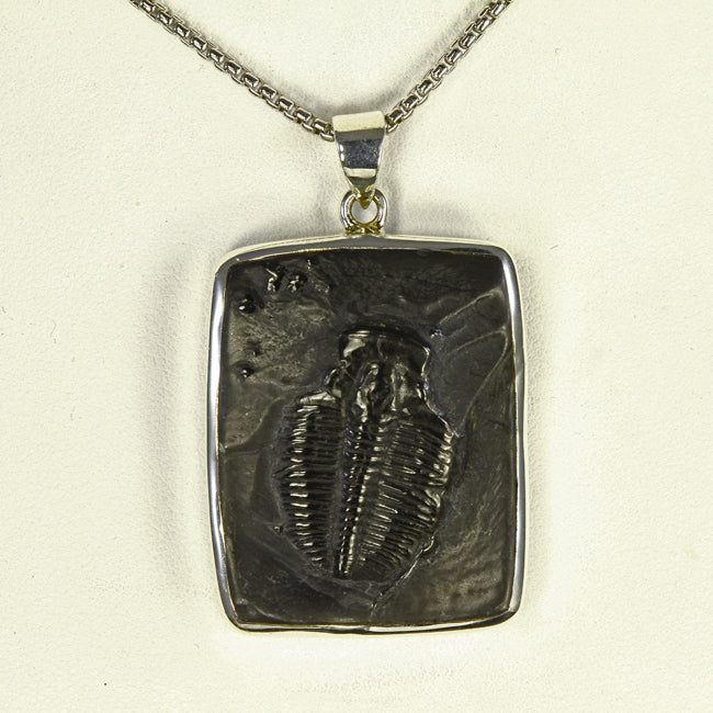 Trilobite set in Sterling Silver