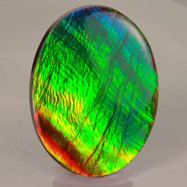 36) Ammolite 2024 Crystal Gemstone