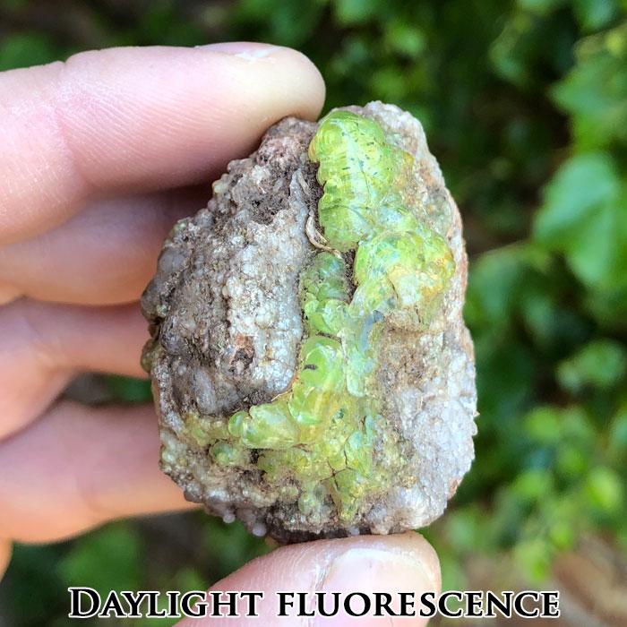 Hyalite Opal Fluorescent Mineral