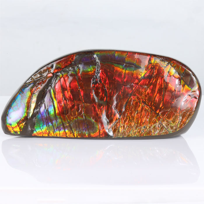 326g Bright Red Ammolite Fossil Specimen