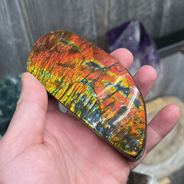 326g Bright Red Ammolite Fossil Specimen