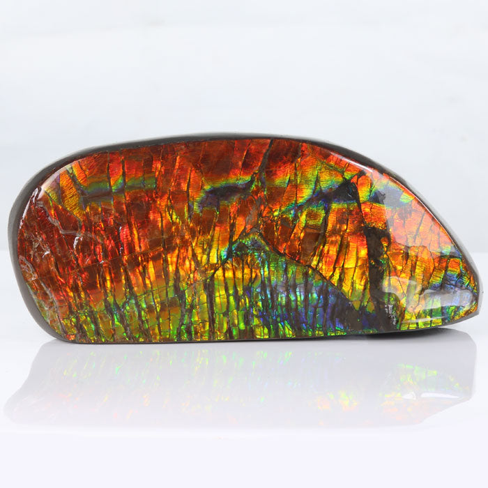 326g Bright Red Ammolite Fossil Specimen