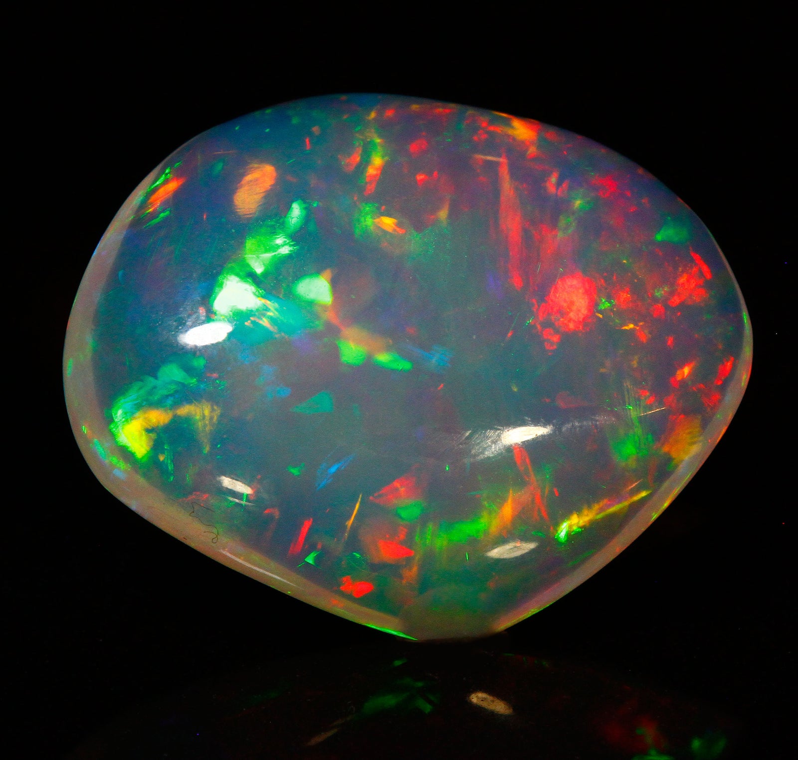 opal-1441-v3